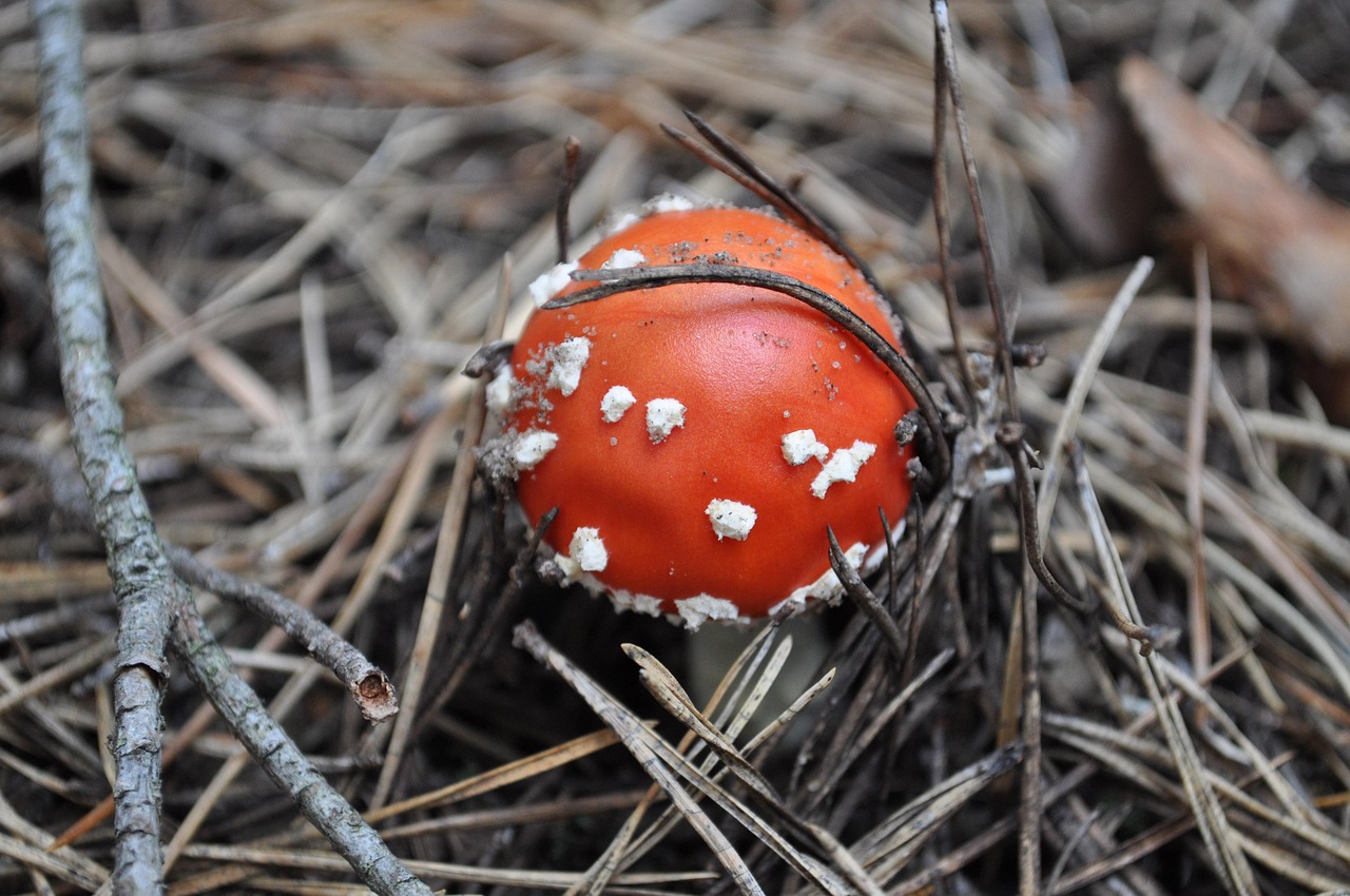 Find motivationen – hvordan du holder gejsten oppe