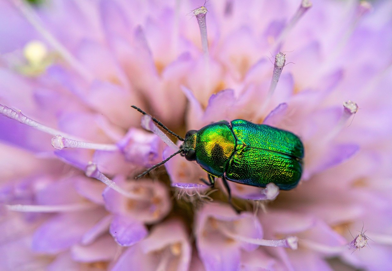 Når arbejdsliv ikke passer ind i 37 timer